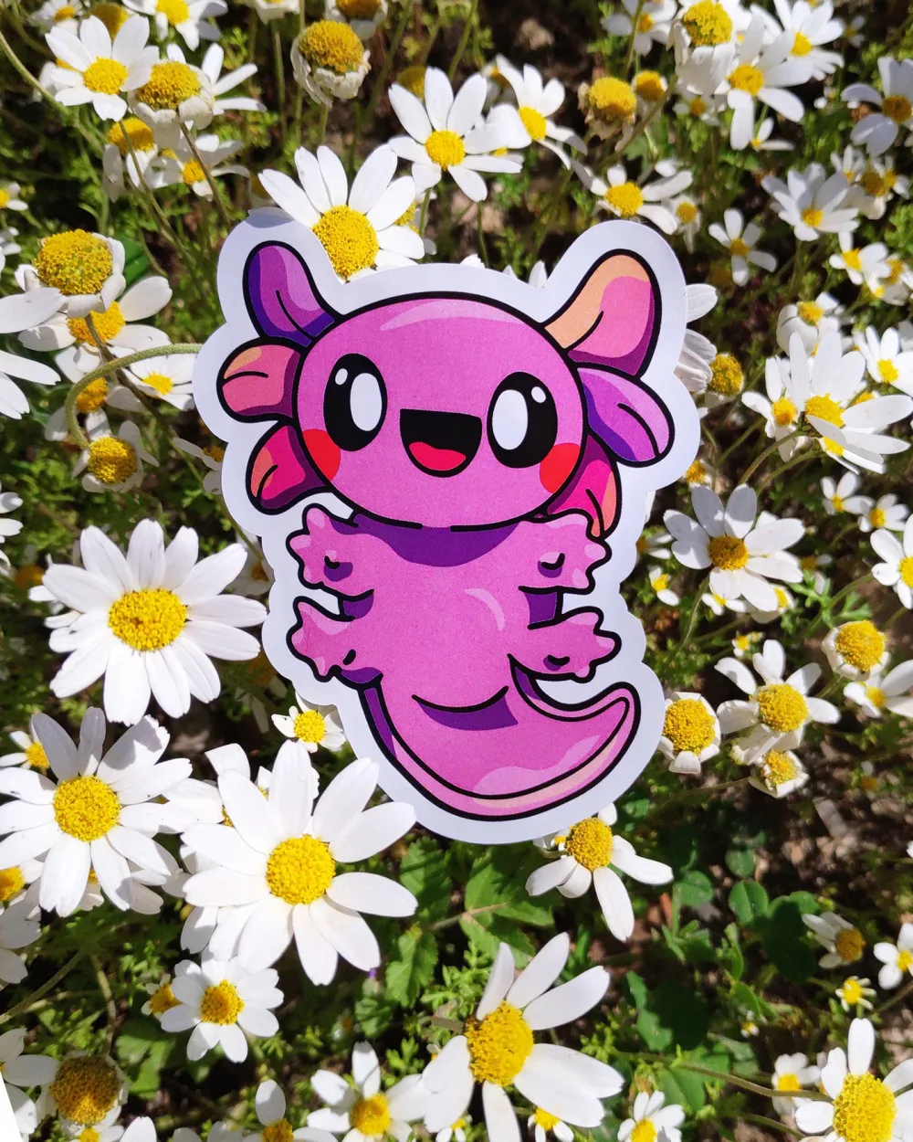 Sticker: a8c6c6117608059.6078cb2427265 (1)